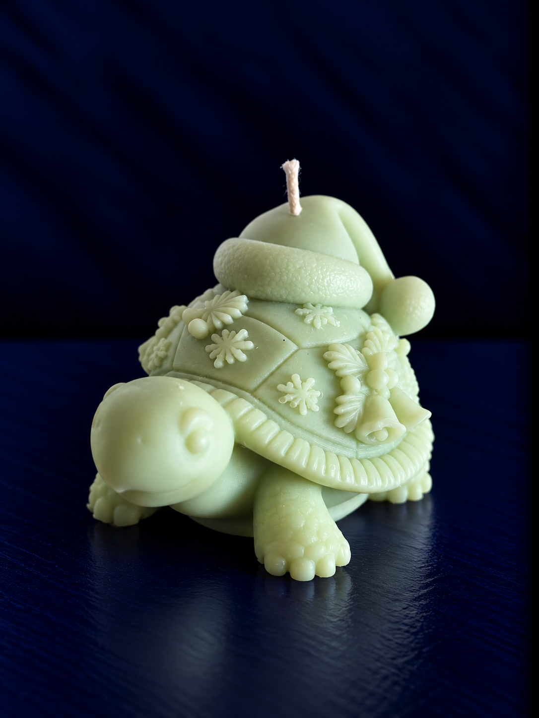 tortue de noël