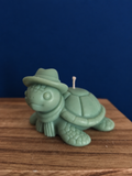 tortue grand froid